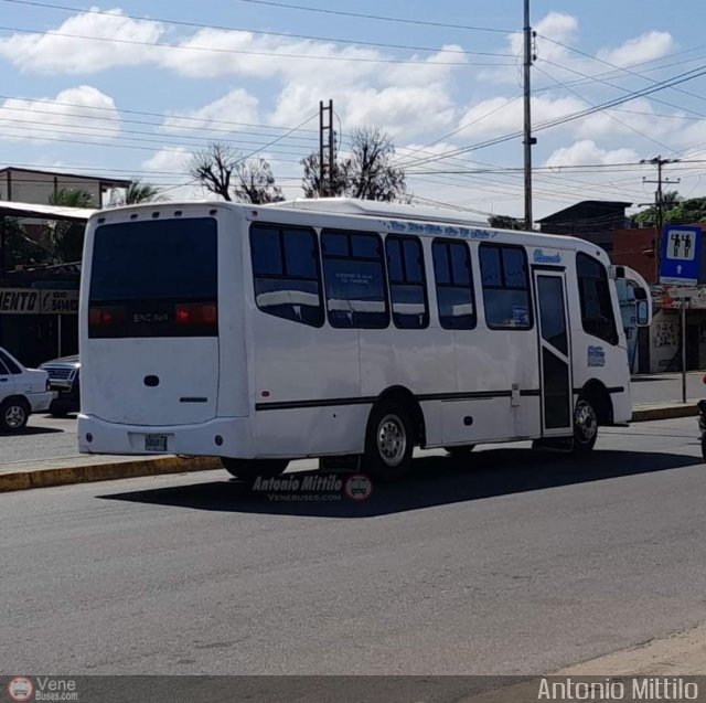 A.C. Transporte Paez 081 por Antonio Mittilo