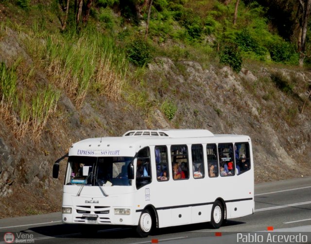 A.C. Expresos San Felipe 2012 16 por Pablo Acevedo