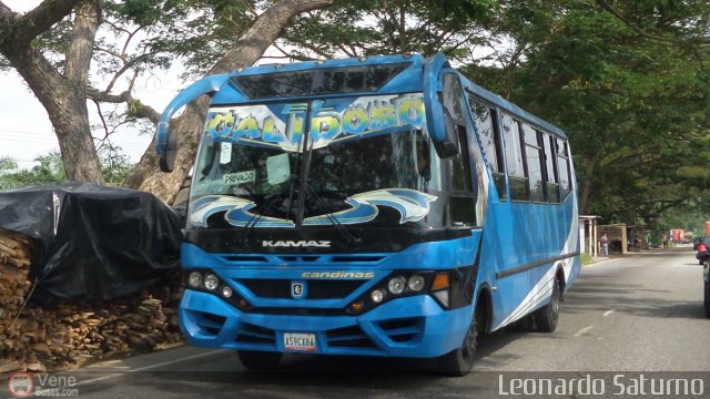 Particular o Desconocido 59 por Leonardo Saturno