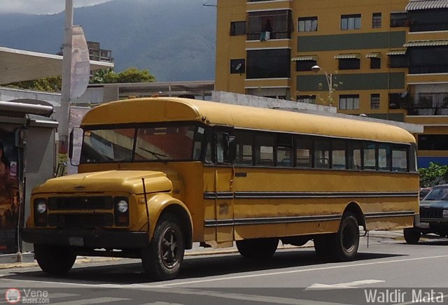Universitarios y Escolares 999 por Waldir Mata