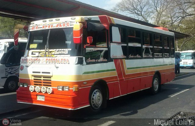 A.C. Uni�n El Pilar 25 por Miguel Colina