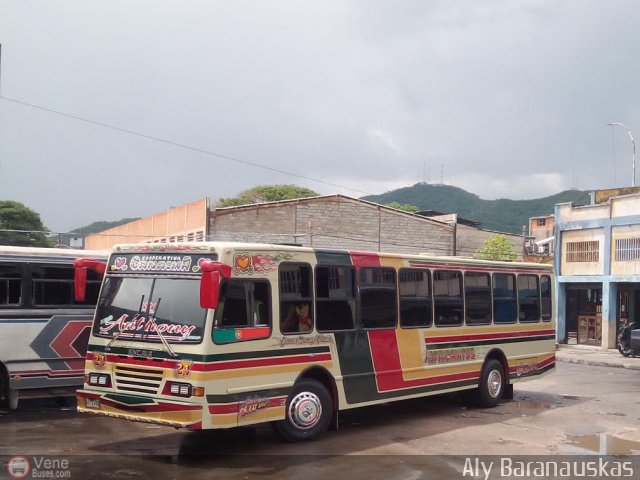 Cooperativa Canaima 24 por Aly Baranauskas