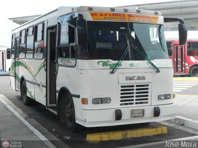 A.C. L�nea Mariscal 44 por Jos� Mora