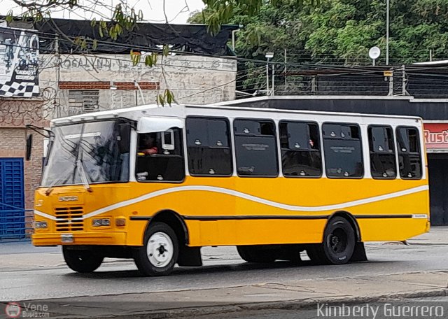 Los Libertadores C.A. 04 por Kimberly Guerrero