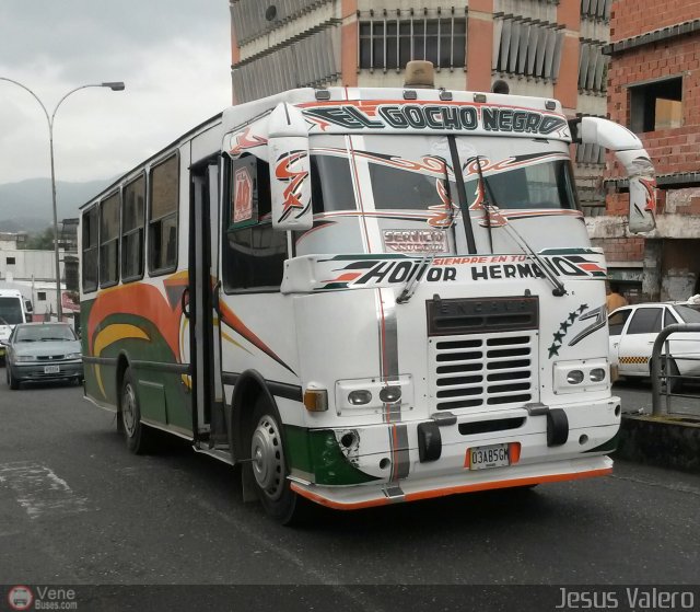 A.C. Transporte Zamora 03 por Jes�s Valero