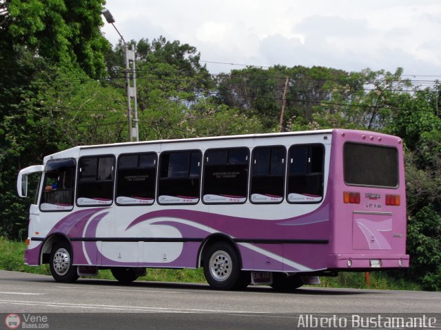 A.C. Transporte Paez 096 por Alberto Bustamante