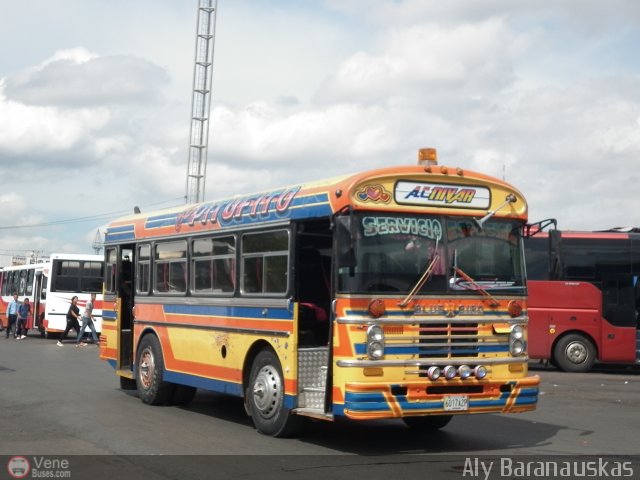 Asociaci�n Civil Nivar 29 por Aly Baranauskas