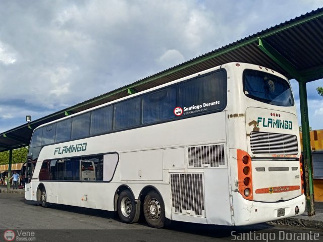 Expresos Flamingo 0013 por Santiago Dorante