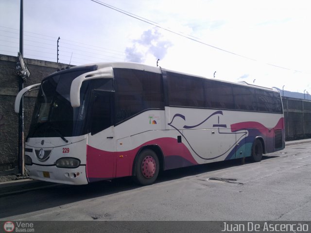 Cruceros Oriente Sur 229 por Juan De Ascenção