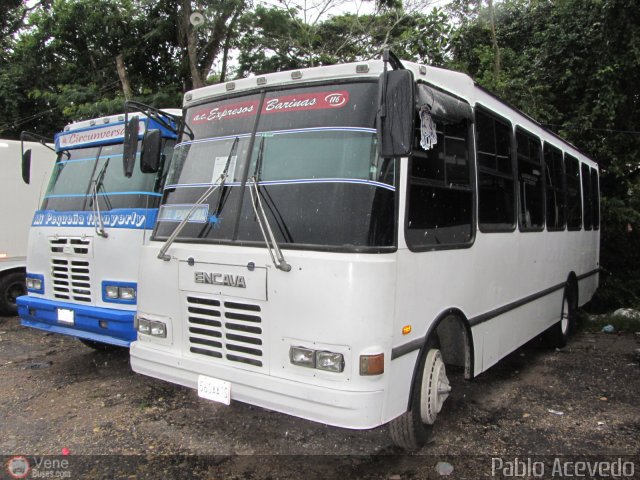 A.C. Expresos Barinas 116 por Pablo Acevedo