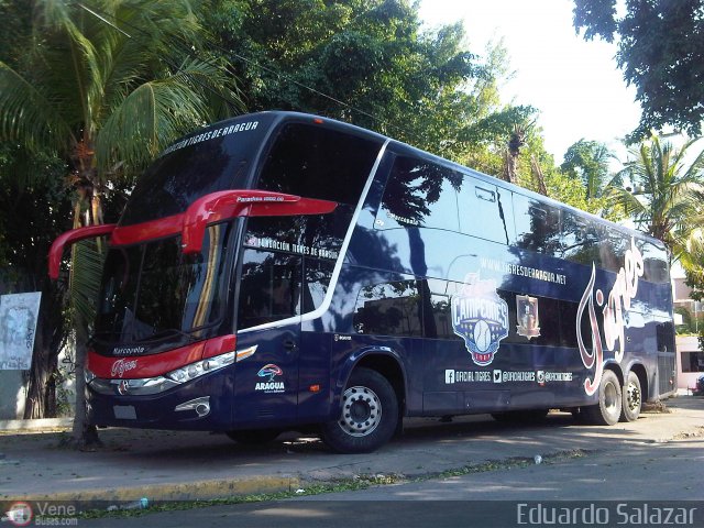 Tigres de Aragua B.B.C. 01 por Eduardo Salazar