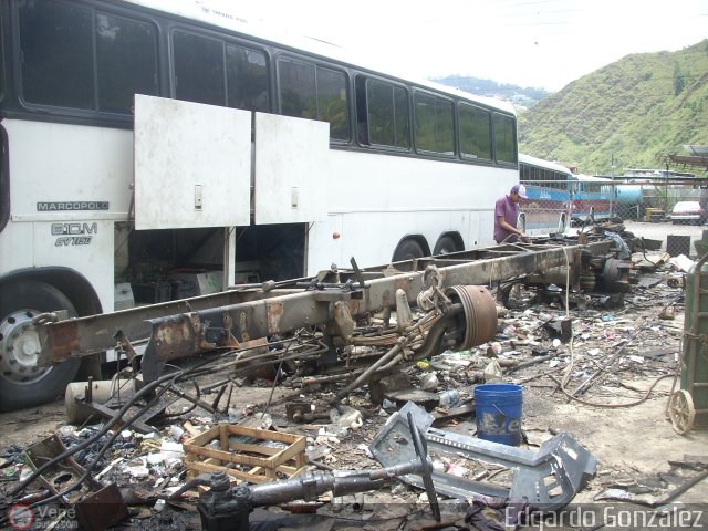 En Chiveras Abandonados Recuperaci�n  por Edgardo Gonz�lez