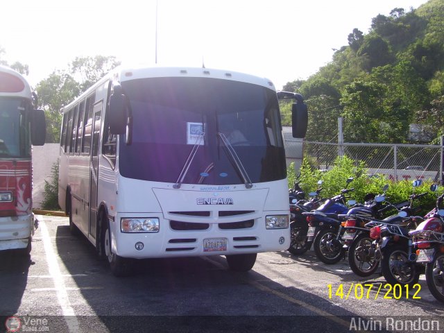 Uso Oficial 20 por Alvin Rondón