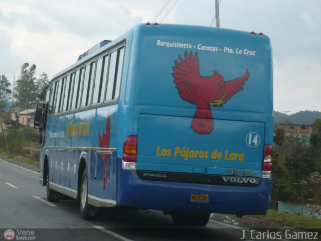 Los P�jaros de Lara 014 por J. Carlos G�mez