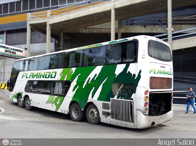 Expresos Flamingo 0051 por �ngel Sal�n