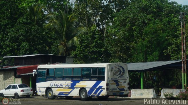 Particular o Desconocido 01 por Pablo Acevedo