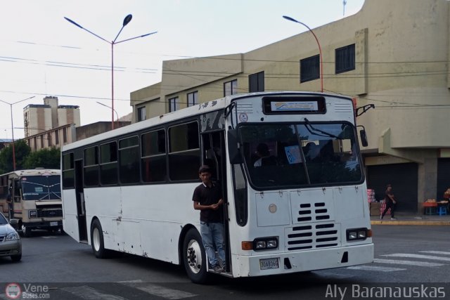 CA - Uni�n de Conductores Dulcinea C.A. 10 por Aly Baranauskas