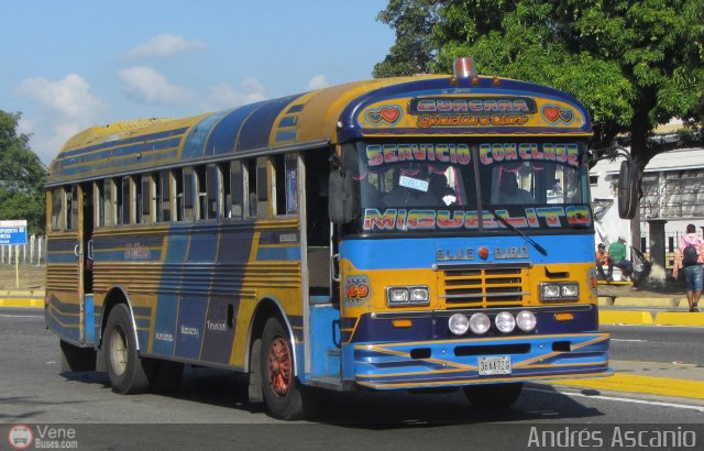 Transporte Guacara 0169 por Andr�s Ascanio
