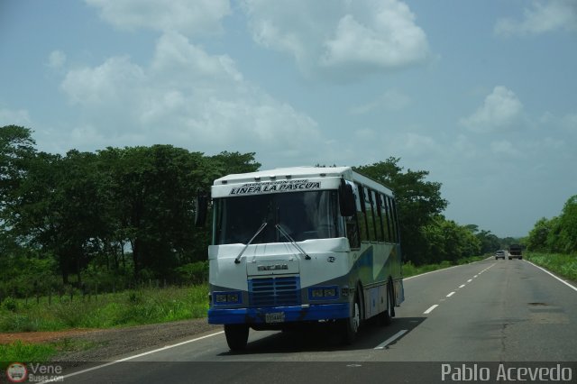 A.C. L�nea La Pascua 024 por Pablo Acevedo