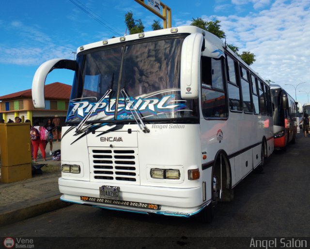 A.C. Don Augusto Malave Villalba 185 por �ngel Sal�n