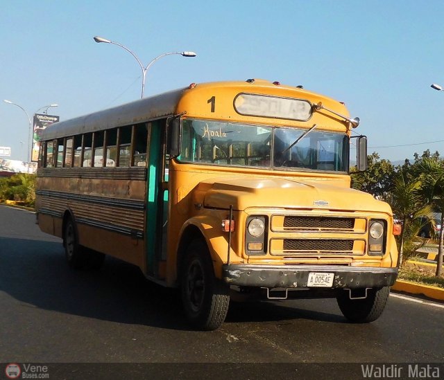 Universitarios y Escolares W01 por Waldir Mata