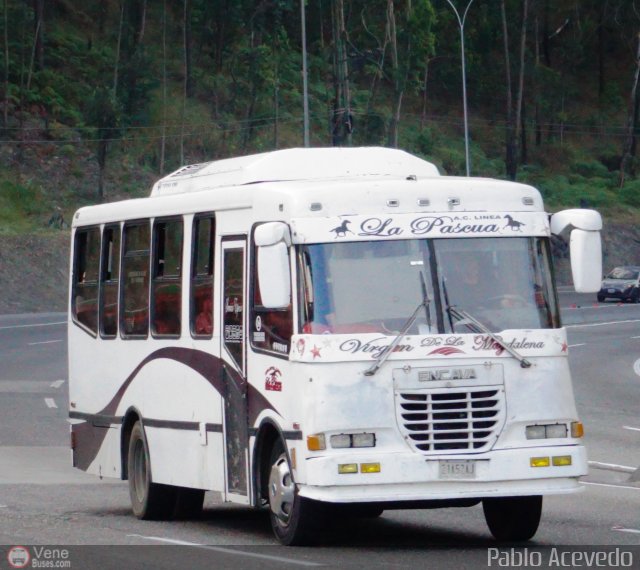 A.C. L�nea La Pascua 139 por Pablo Acevedo