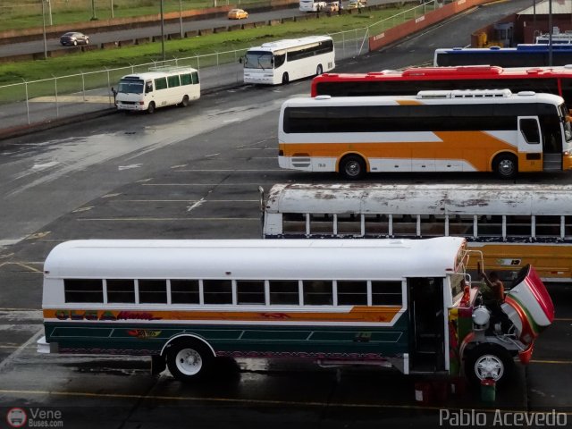 Particular o Desconocido 90 por Pablo Acevedo