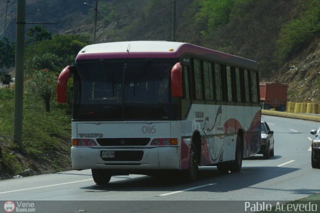 Particular NO USAR M�S 16 por Pablo Acevedo