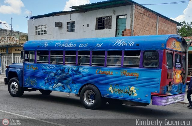 Transporte Palo Negro La Morita 2 079 por Kimberly Guerrero