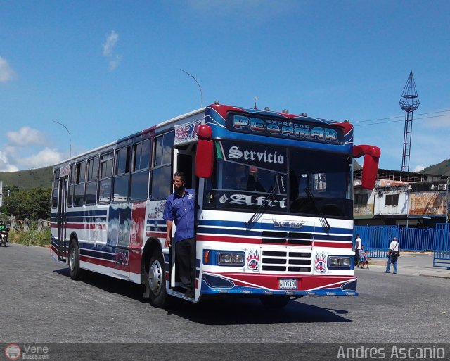 Expresos Pegamar 0004 por Andrs Ascanio