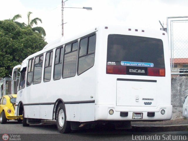 S.C. L�nea Transporte Expresos Del Chama 164 por Leonardo Saturno