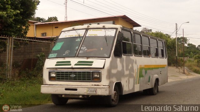 Particular o Desconocido 05 por Leonardo Saturno