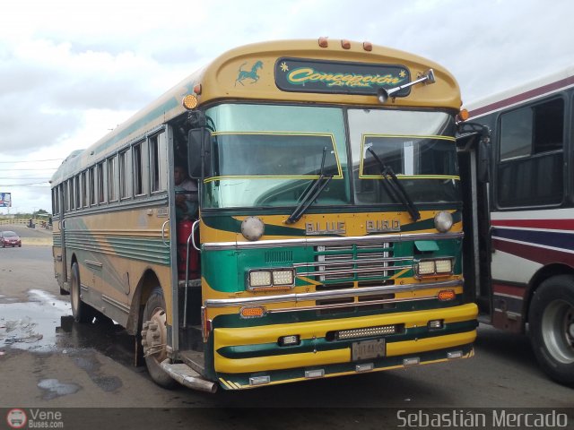 ZU - Colectivos Concepci�n 034 por Sebasti�n Mercado