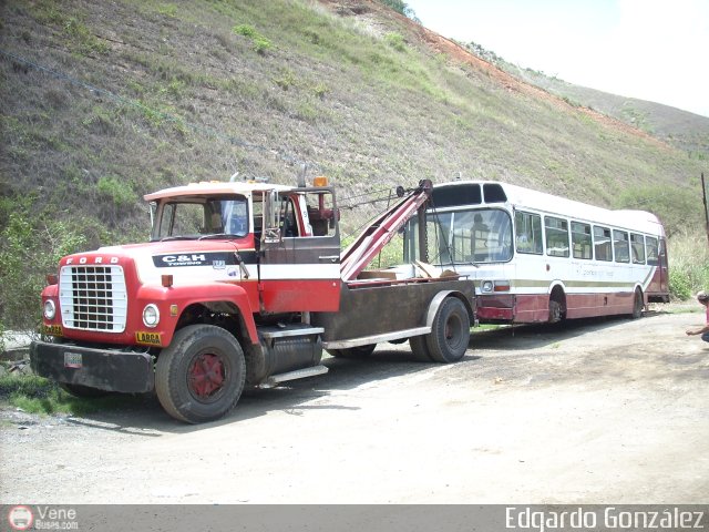 En Chiveras Abandonados Recuperación 15 por Edgardo González