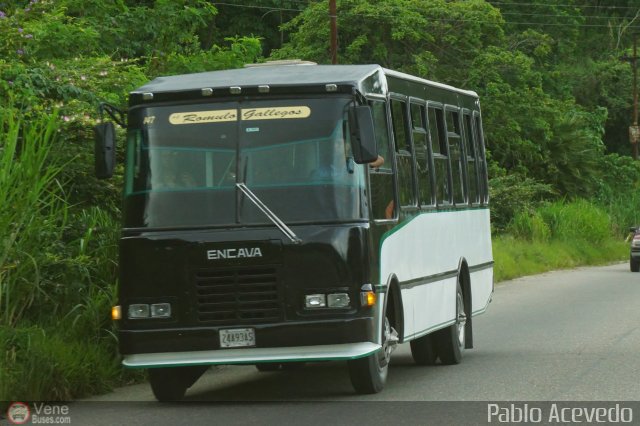 TA - A.C. R�mulo Gallegos 147 por Pablo Acevedo