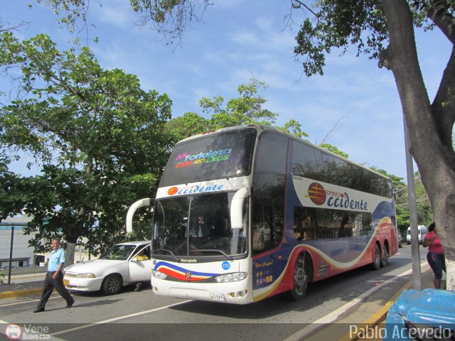 Expresos Occidente 225 por Pablo Acevedo