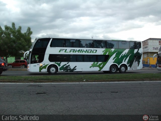 Expresos Flamingo 0183 por Carlos Salcedo