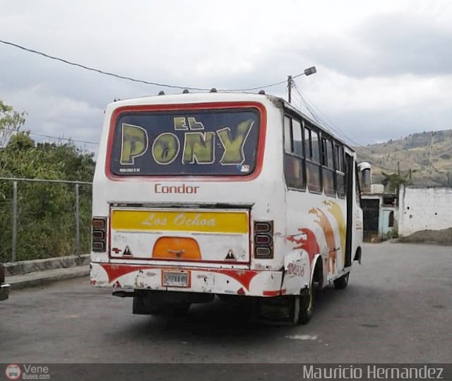 U.C. Mar�a Lionza 34 por Eduard Delgado