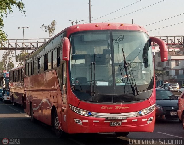 Grupo Transani 207 por Leonardo Saturno