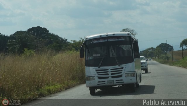 Asociaci�n Cooperativa R.S. Ezequiel Zamora 01 por Pablo Acevedo