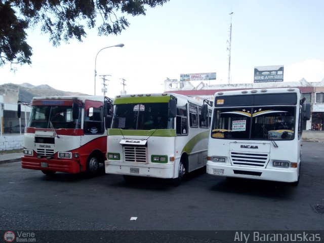 CA - Uni�n Caribe C.A. 43 por Aly Baranauskas