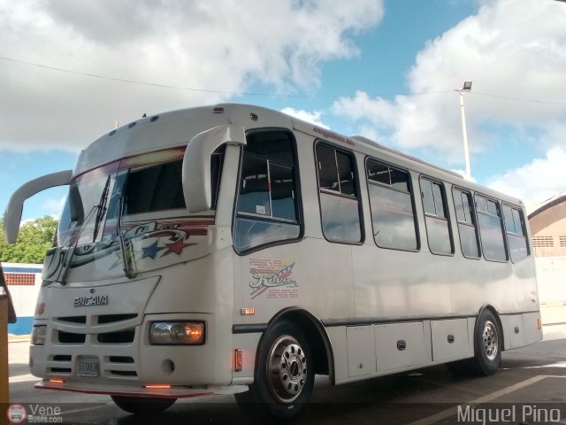 Ejecutivos Kova 086 por Miguel Pino