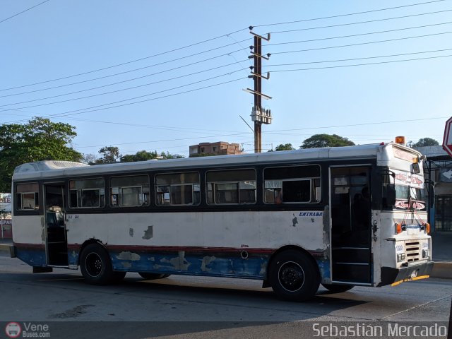 ZU - Ral Leoni 57 por Sebastin Mercado