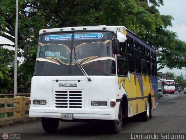 S.C. L�nea Transporte Expresos Del Chama 019 por Leonardo Saturno