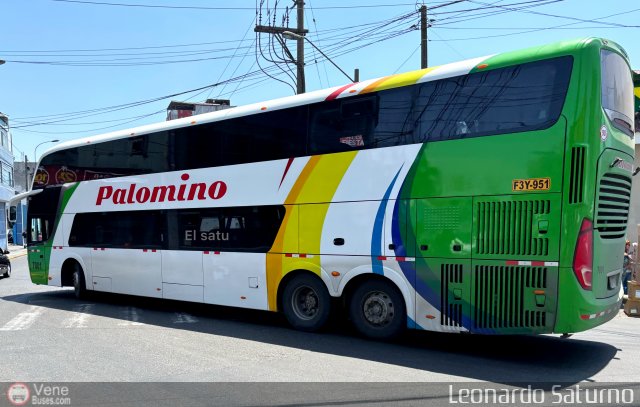 Expreso Internacional Palomino 7001 por Leonardo Saturno