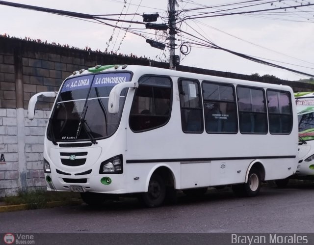 TA - L�nea Concordia 41 por Jerson Nova