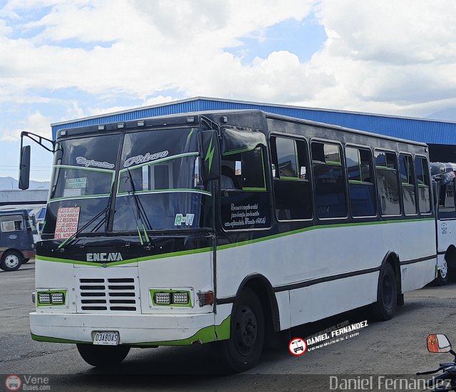 AR - Cooperativa La Pedrera 007 por Daniel Fern�ndez