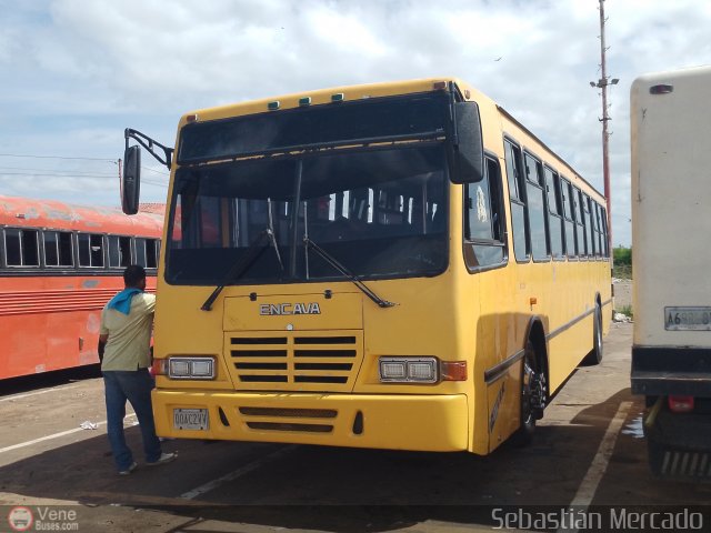 L�nea Maracaibo - El Consejo 92 por Sebasti�n Mercado