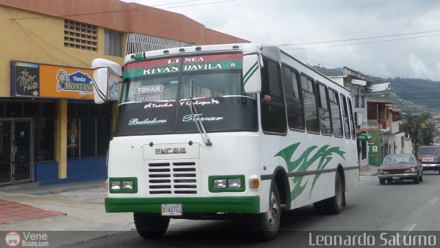 L�nea Rivas D�vila 0005 por Leonardo Saturno