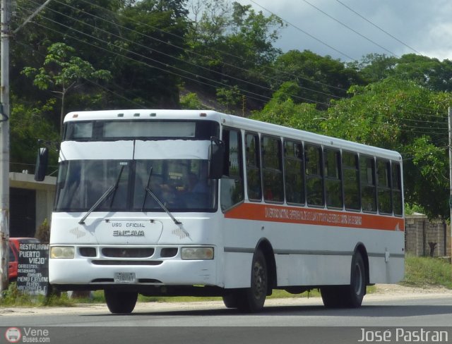 Uso Oficial 900 por Jos� Pastran